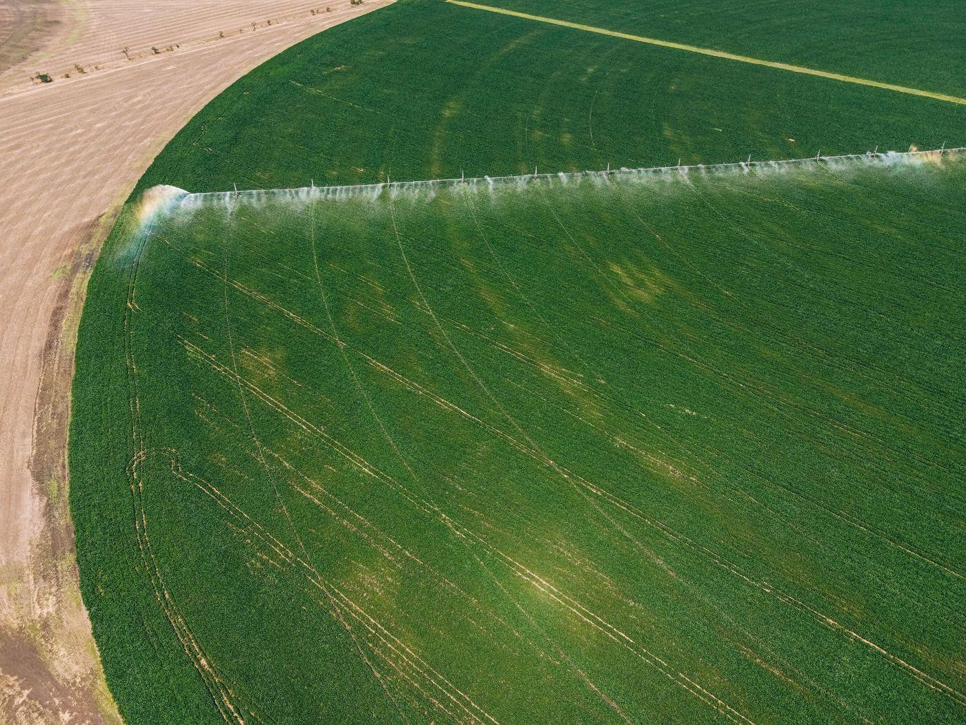 A center-pivot boom watering a circular field, seen from the air